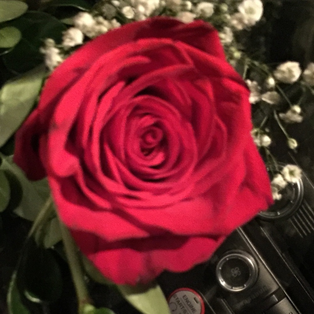 Meet your Posher, Yolisma